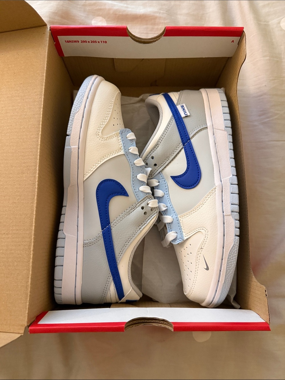 Nike Dunks Low-Top Sneakers in White and Blue Big Kids